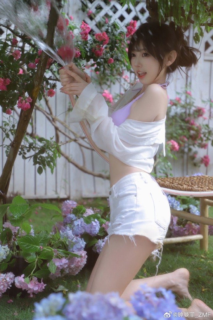 走向共和 封面